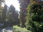 villa bifamiliare signorile su tre piani ampia metratura...