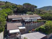 Villa Castiglione della Pescaia Grosseto DLS50643753