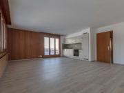 Villa chalet avec trois unités résidentielles et espace...