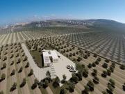 Villa / Chalet de 199 m2 en venta en Alicante, España