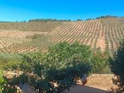 Villa / Chalet de 190000 m2 en venta en Archidona, Andalucía