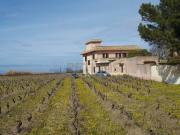 Villa con box in contrada spagnola snc, Marsala