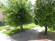 Villa con giardino a Massa