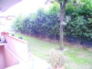 Villa con giardino a Massa