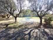 Villa con giardino a Ortonovo