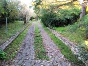 Villa con giardino a Piombino