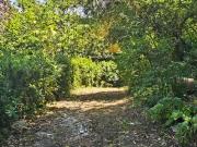 Villa con giardino a Rignano sull'Arno