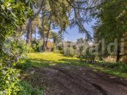 Villa con giardino a Roma