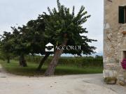 Rustico con giardino a San Fior