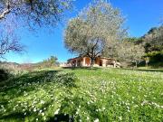 Villa con giardino a Sarzana