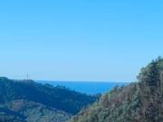 Villa con giardino, Camaiore torcigliano