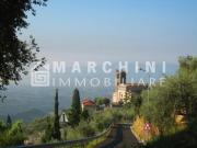 Villa con giardino, Capannori matraia