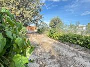 Villa con giardino, Corato maglioferro