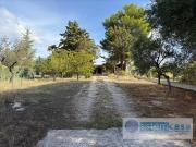 Villa con giardino, Corato zona via castel del monte