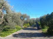 Villa con giardino in contrada ziino, Messina