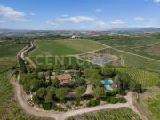 Villa con giardino in strada di monte bottigli, Grosseto