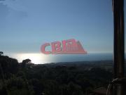 Villa con giardino, Livorno montenero