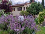 Villa con giardino, Rignano sull'Arno volognano