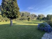 Villa con giardino, Seravezza querceta