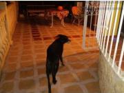 Villa con vistas al mar en Las Rotas. 2 salones con...