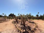 Villa contemporaine d’inspiration berbère