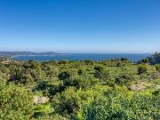 Villa de 4 chambres de luxe en vente Cavalaire sur Mer,...