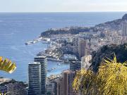 Villa de 4 chambres de luxe en vente Roquebrune Cap...