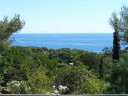 Villa de luxe de 5 pièces en location Les Issambres,...