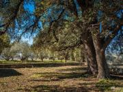 Villa de 5 pièces de luxe en vente Gordes, Provence...