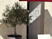 Villa de 5 pièces de luxe en vente Toulouse, Occitanie