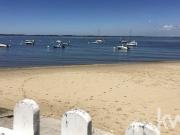 Villa de 6 pièces de luxe en vente Arcachon, Nouvelle...