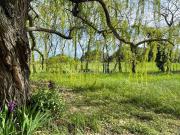 Villa de 7 pièces de luxe en vente Saint Rémy de...