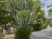 Villa de época en alquiler en Vistahermosa
