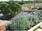 Villa de Lujo situada entre Puerto Lumbreras y El Esparragal