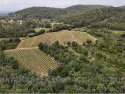 Villa de luxe de 10 pièces en vente Lorgues, Provence...