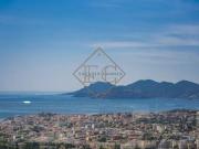 Villa de luxe de 12 pièces en vente Cannes, Provence...