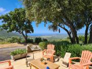 Villa de luxe de 23 pièces en vente Sollacaro, Corse