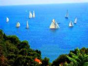 Villa de luxe de 4 chambres en vente Roquebrune Cap...
