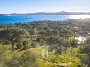 Villa de luxe de 7 pièces en vente Grimaud, France