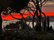 Villa de luxe en vente Sanary sur Mer, Provence Alpes...