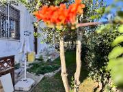 Villa di 106 mq a Cecchignola, Fonte Meravigliosa Roma