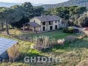 VILLA di 12 vani e di 280 mq GROSSETO STRADA SBIRRO rif....