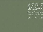 Villa di 185 mq in vendita Vicolo Emilio Salgari, Zola...