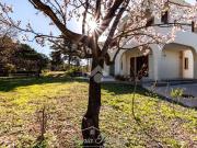 Villa di 240 mq in vendita Via delle Azalee, 15, Quartu...