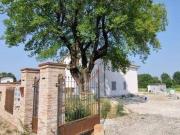 Villa di 260 mq in vendita Scandiano, Emilia Romagna