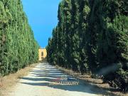 Villa di 4000 mq in vendita Loreto Aprutino, Abruzzo