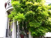 Villa di 410 mq in vendita Venezia, Veneto
