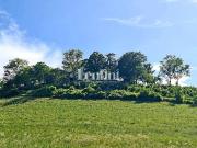 Villa di 900 mq in vendita Strada Resinone Scarponci, 4,...