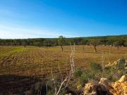 Villa El Toro Illes Balears 44021929
