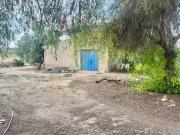 Casa de campo en Aspe